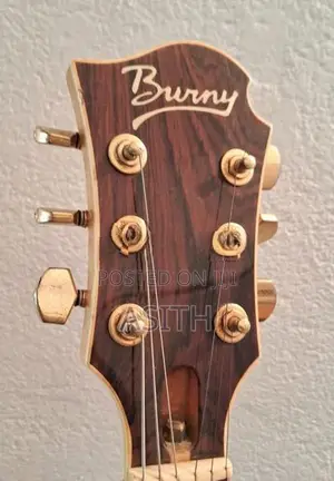 Burney mg85x Artist Signature Guitar