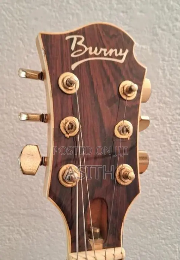 Burney mg85x Artist Signature Guitar