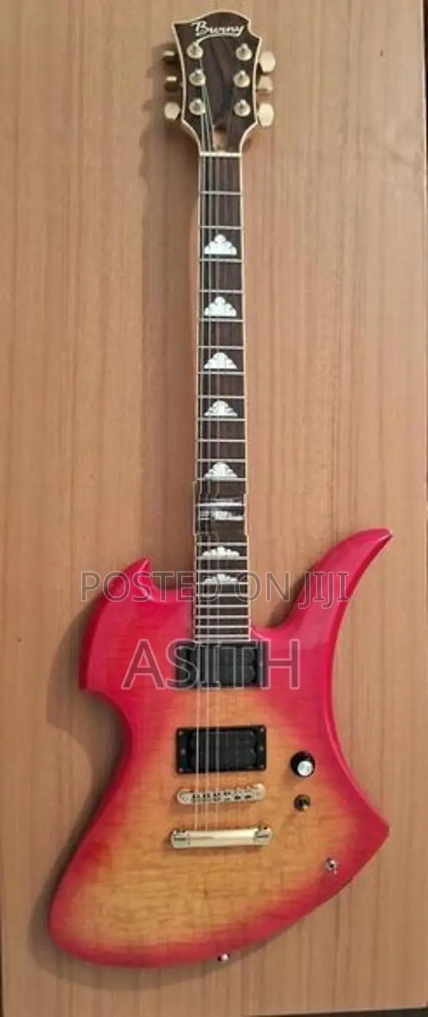 Burney mg85x Artist Signature Guitar