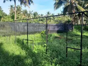 කුරුලු කුඩ
