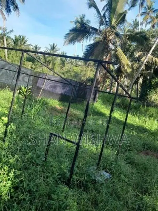 කුරුලු කුඩ
