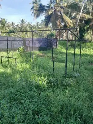 කුරුලු කුඩ