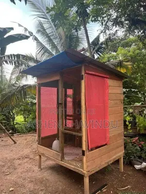 Pigeon Cage