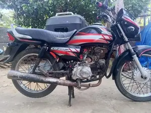 Hero CD 100 2013