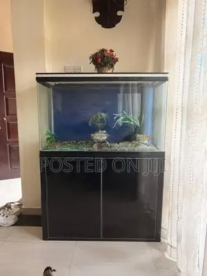 Fish Tank