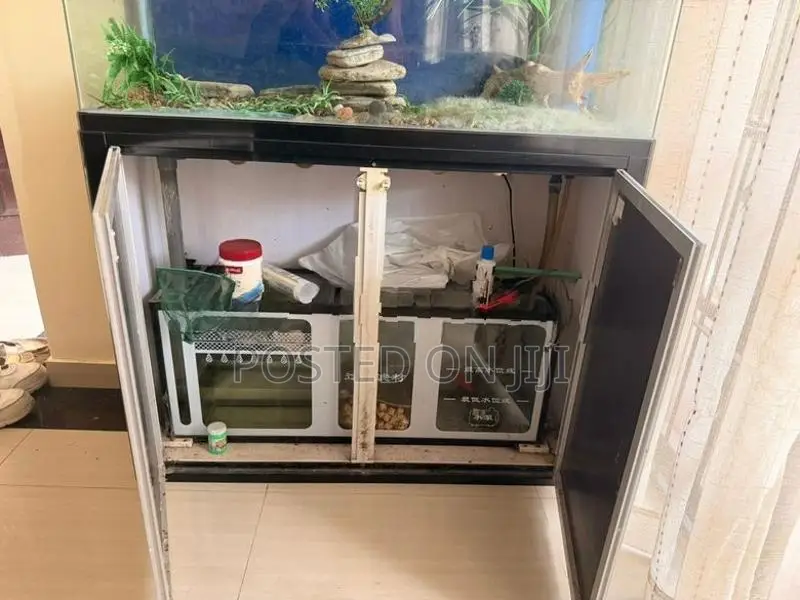 Fish Tank