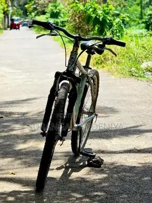 Cadillac Bicycle