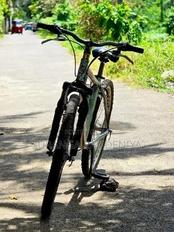 Cadillac Bicycle