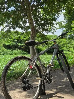 Cadillac Bicycle
