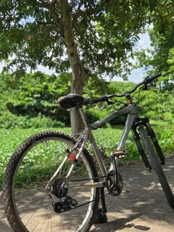 Cadillac Bicycle
