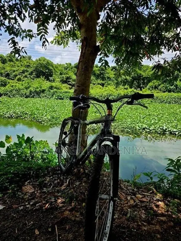 Cadillac Bicycle