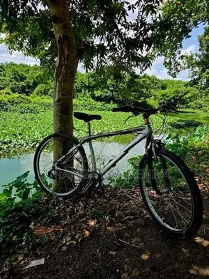 Cadillac Bicycle