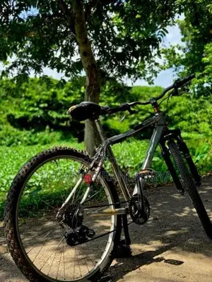 Cadillac Bicycle