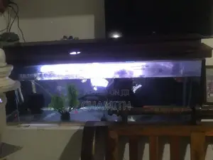 4ft Fish Tank