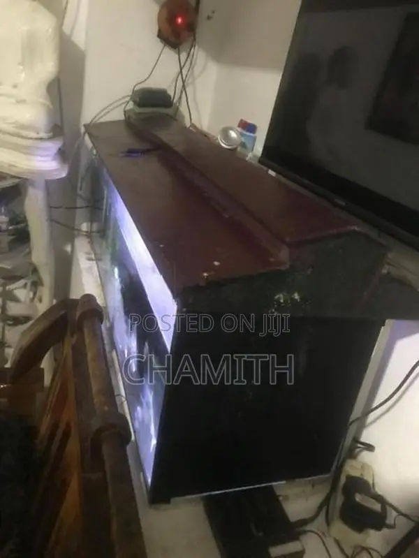 4ft Fish Tank