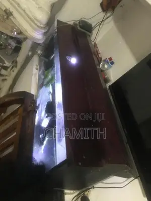 4ft Fish Tank