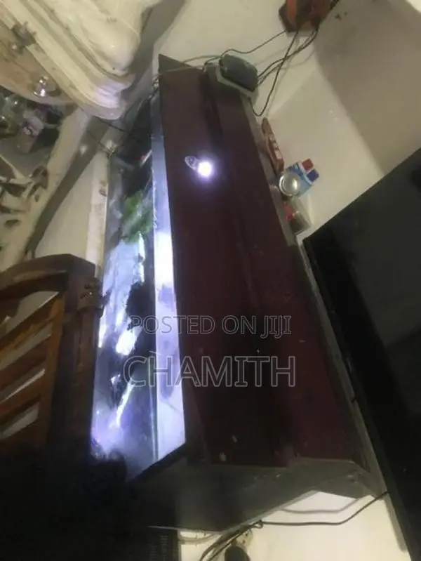 4ft Fish Tank