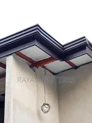 Rayan Gutters