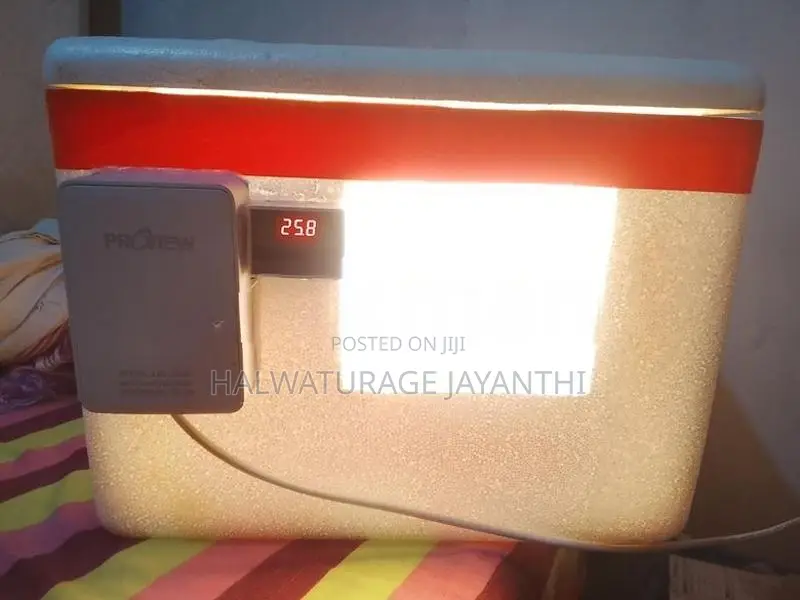 බිතර රක්කන මැෂින්