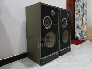 Pioneer Speakers