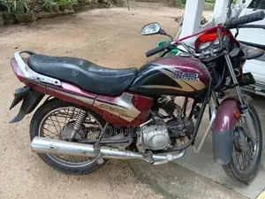 Hero Passion Plus 2007