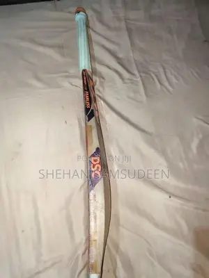 DSC Leather Bat