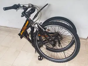 Ford Japanese Bike