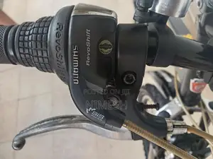 Ford Japanese Bike
