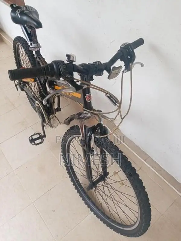 Ford Japanese Bike