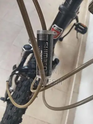 Ford Japanese Bike