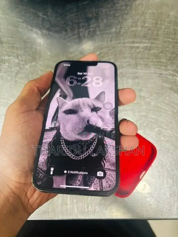 Apple iPhone 13 256GB (Used)