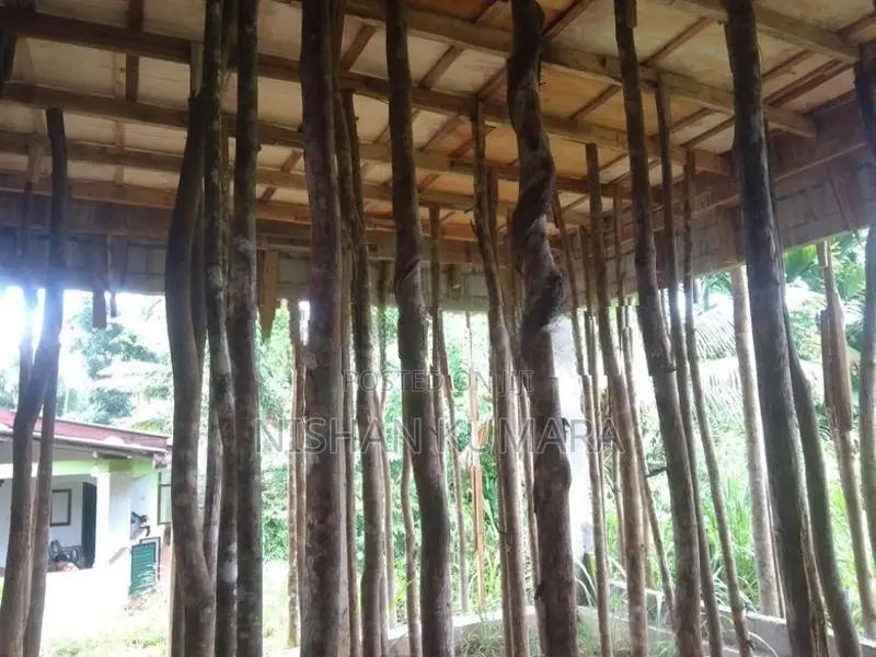 කොන්ක්‍රීට් සැලැබ් සැටලිමක්