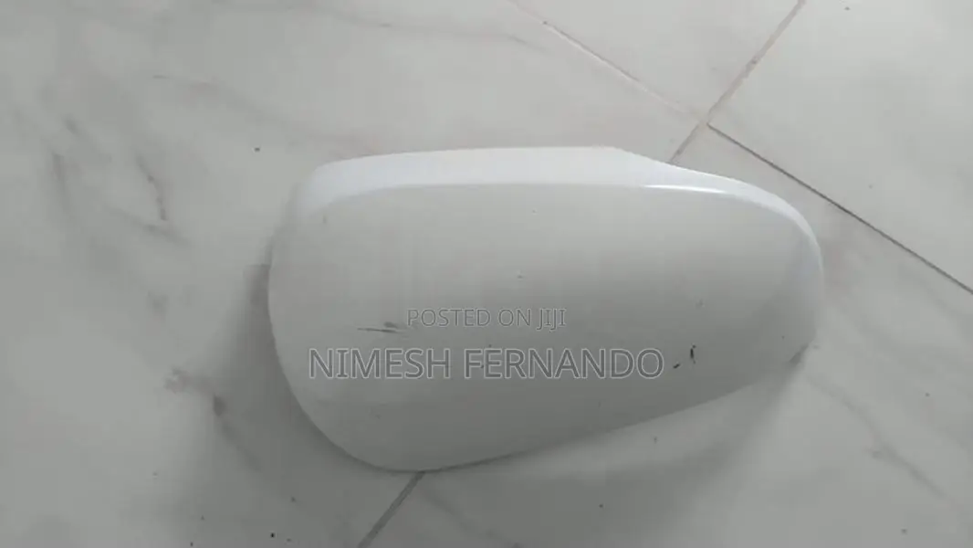 Prius Right Side Mirror Guard
