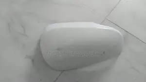 Prius Right Side Mirror Guard