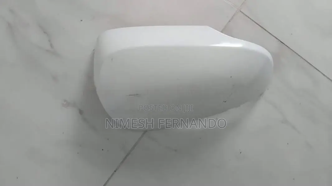 Prius Right Side Mirror Guard