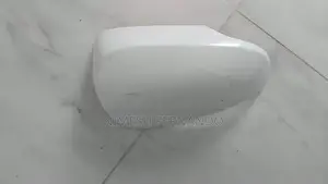 Prius Right Side Mirror Guard