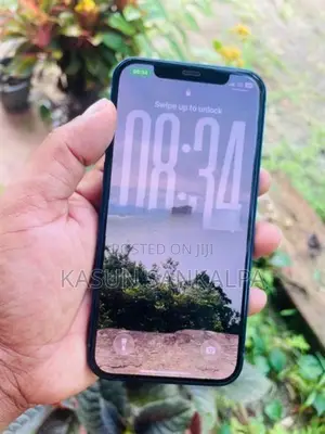Apple iPhone 12 (Used)