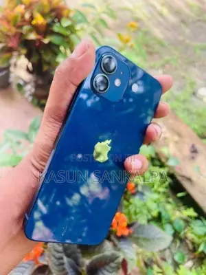 Apple iPhone 12 (Used)