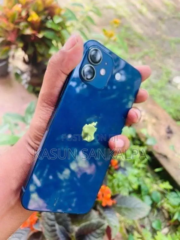 Apple iPhone 12 (Used)
