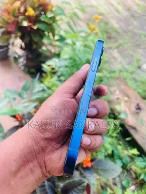 Apple iPhone 12 (Used)
