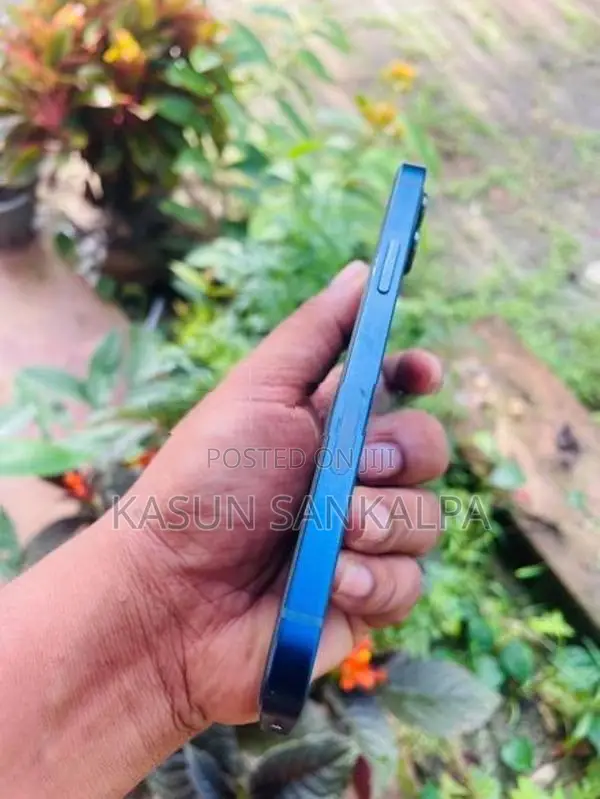 Apple iPhone 12 (Used)