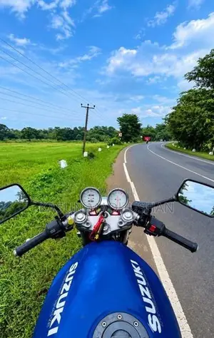 Suzuki Bandit 45hp 2008