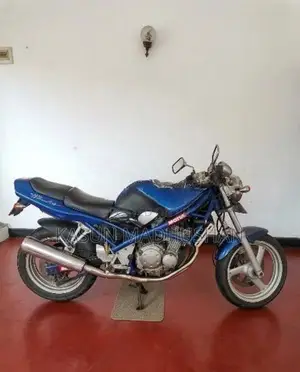 Suzuki Bandit 45hp 2008