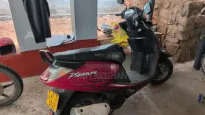 Hero Pleasure 2015