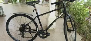 Hybrid Bicycle