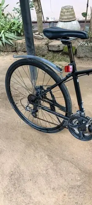 Hybrid Bicycle
