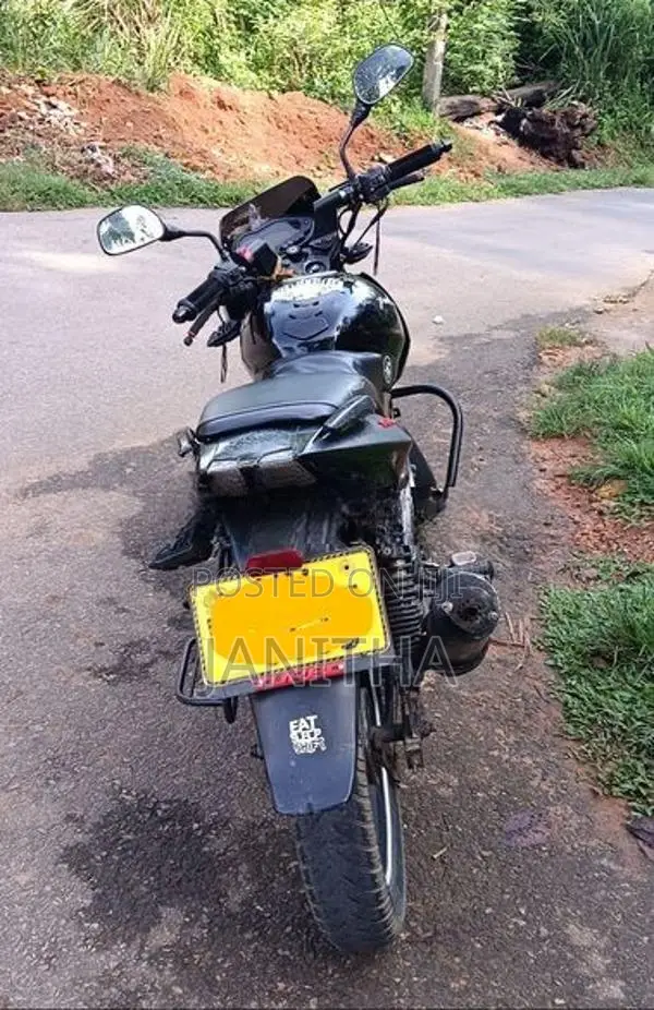 Bajaj Pulsar 150 2010