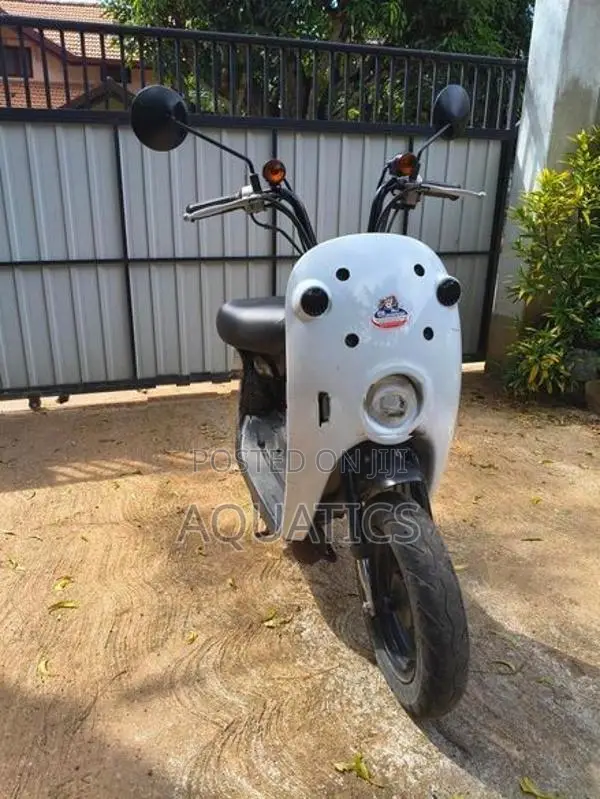 Suzuki Lets 2022