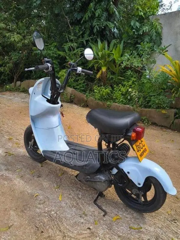 Suzuki Lets 2022