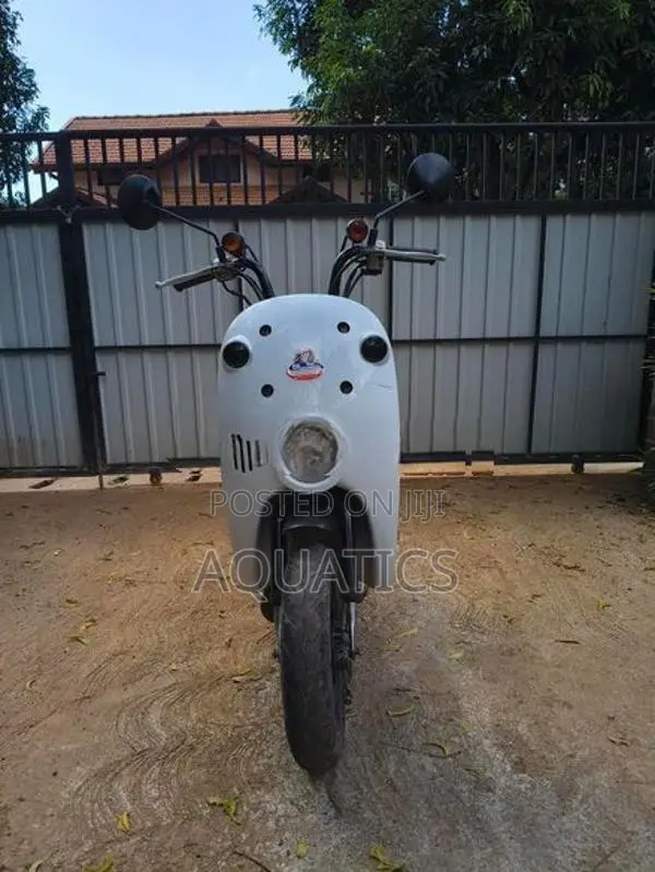 Suzuki Lets 2022